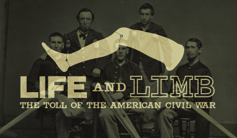Life and Limb: The Toll of the American Civil War banner